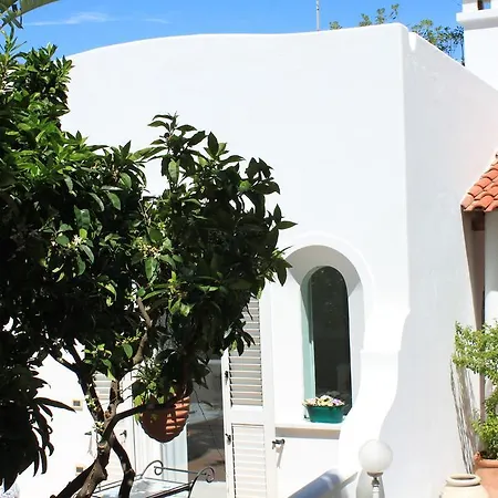 Marinella