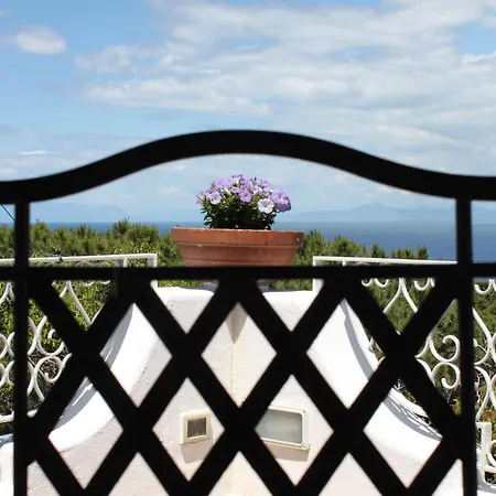 Marinella Bed & Breakfast Casamicciola Terme